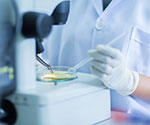 Analytical Testing Services